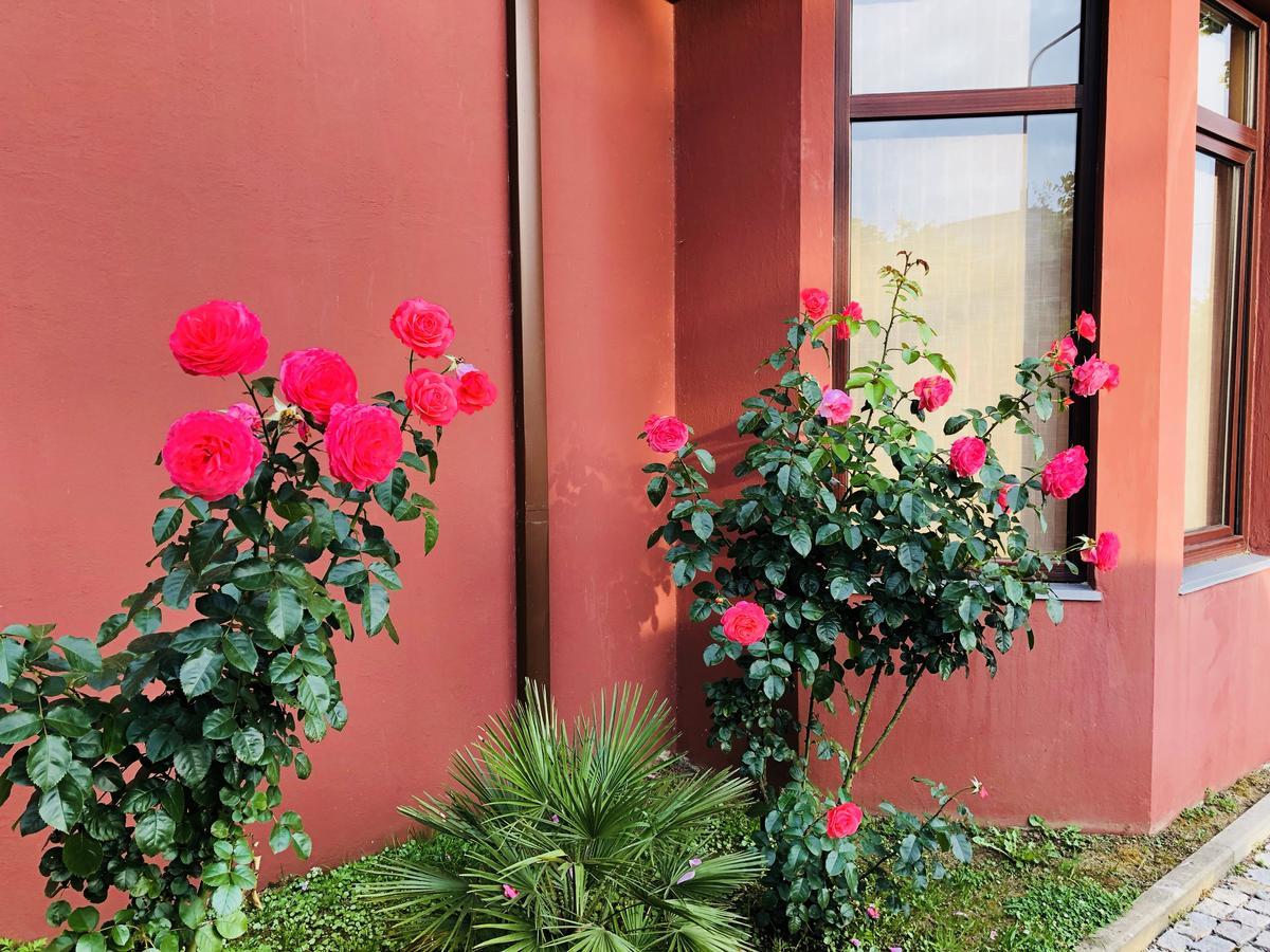 Villa Georgiana Gonio Exterior photo